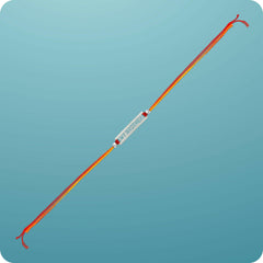 Protective "My Brother" Silver Rakhi Rakhi.