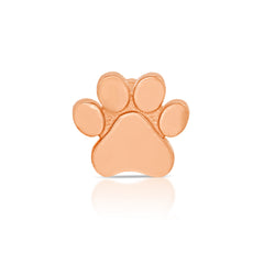Charm Stud - Paw