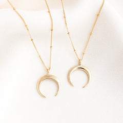 Dainty Horn Necklace