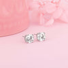 Silver Zircon Earrings Earrings.