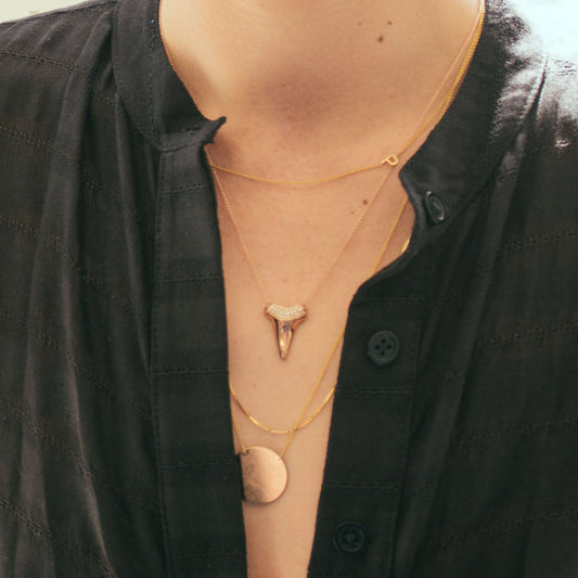 14k Gold Asymmetrical Letter Necklace - P